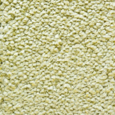 Ковролин AW Masquerade Narcisse 21 фото 1 | FLOORDEALER